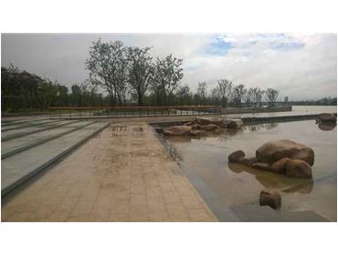 南通通州区通吕运河示范段环境改造工程——世纪公园段景观绿化工程一期CD标段施工